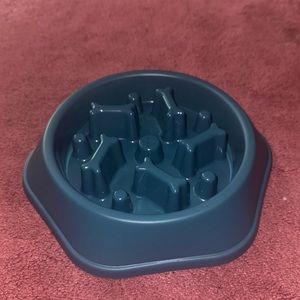 Slow dog bowl